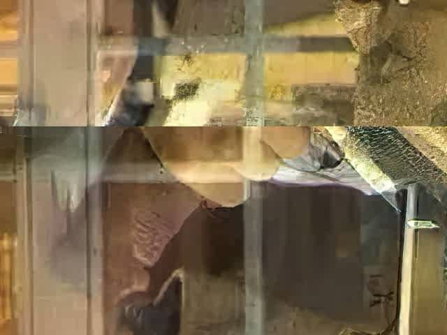 Horny French blonde babe enjoys hardcore hot anal sex