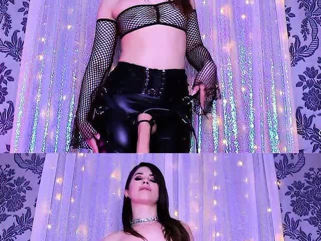 BrookelynneBriar Sissy Bitch Breeding Program