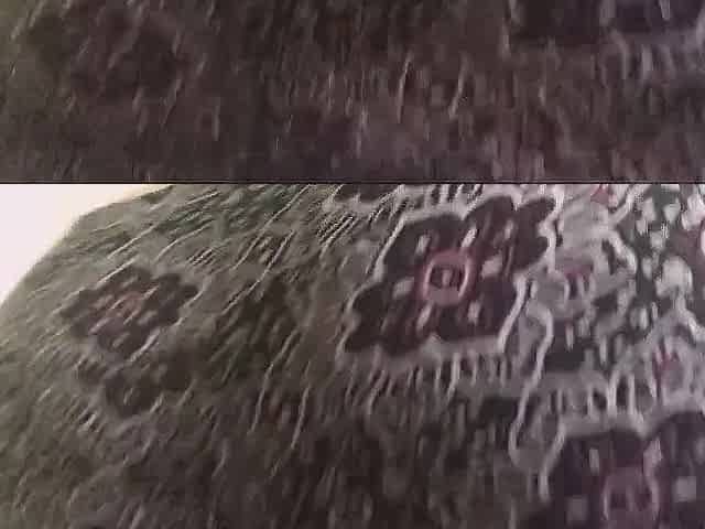 Love this butt in your face! Stripping without taut panties and bouncing on my pillow!