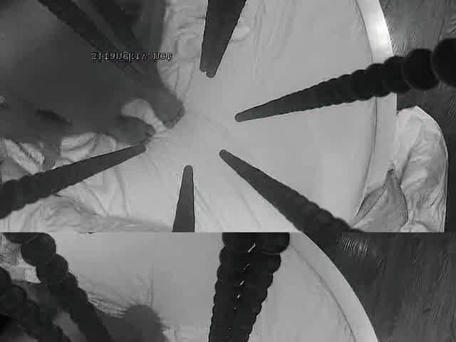 Amateur Hidden Cam