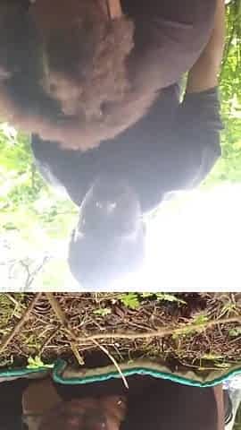 Banging youthful thick large butt black whore out in public