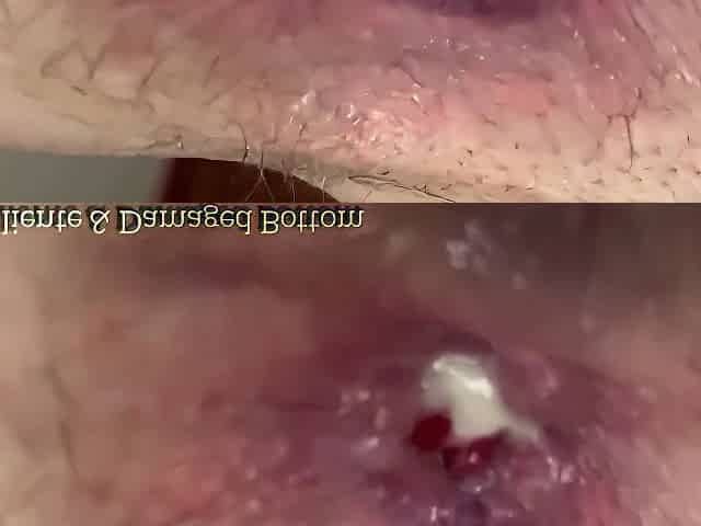 Creampie Lust: Vol.6