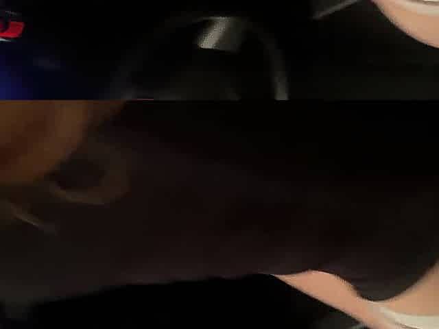 Hot beauty has sex in the car