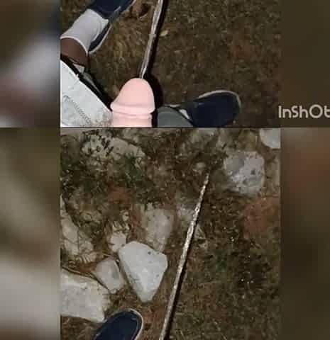Pee Compilation 8 Vids
