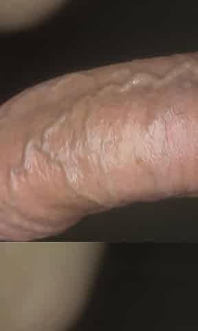 Sensual Closeup Blowjob