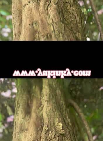 She Gets Filmed Touching Herself in the Woods - French Amateur Hairy Redhead Exhibitionist Alt