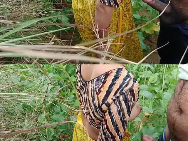 Sex in Rai's Field