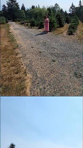 Enjoying my morning by taking a short walk then I had to pee