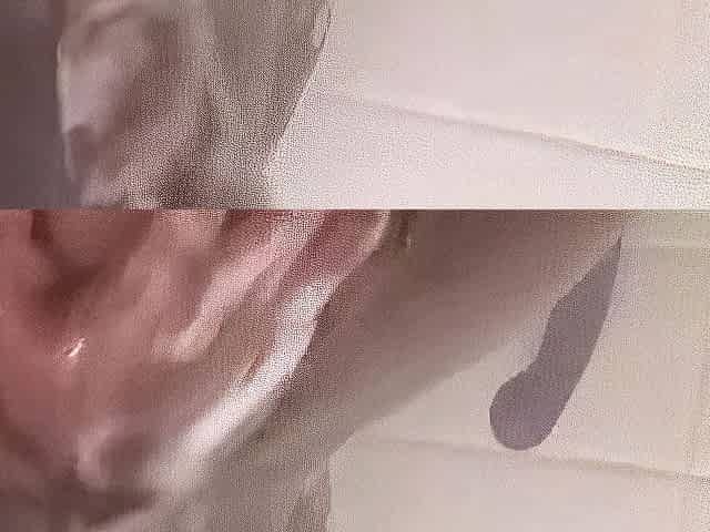Double Penetration in the Shower with a Sex Toy