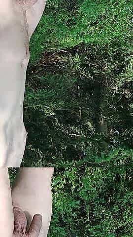 Walk exhibitionist in the forest