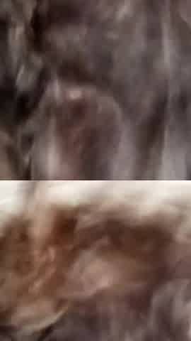 A View of Desi Wet Pussy Big Boobs and Swaying Big Ass