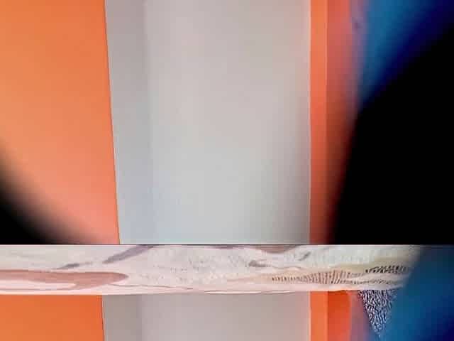 compilation spying on Argentine university student Miranda