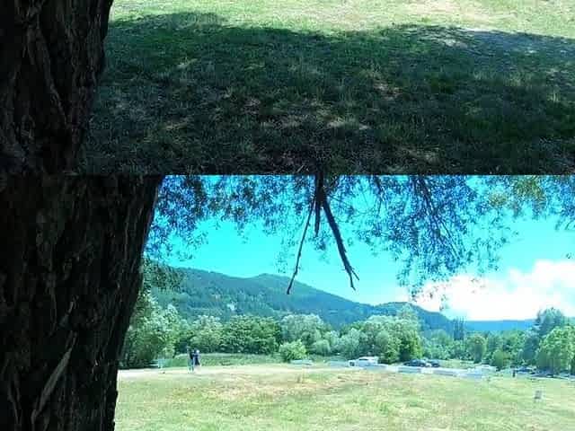 Public Picnic BJ and Anal with a Big-Ass Amateur