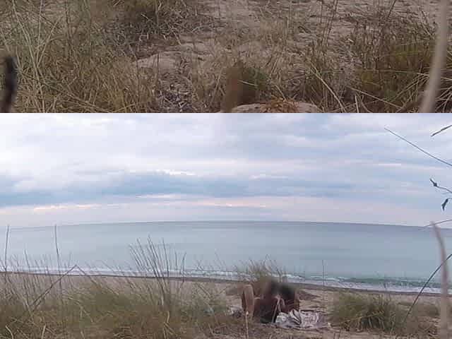 French Teacher Slut Blowjob Amateur on Nude Beach Front Stranger with Cumshot - Misscreamy