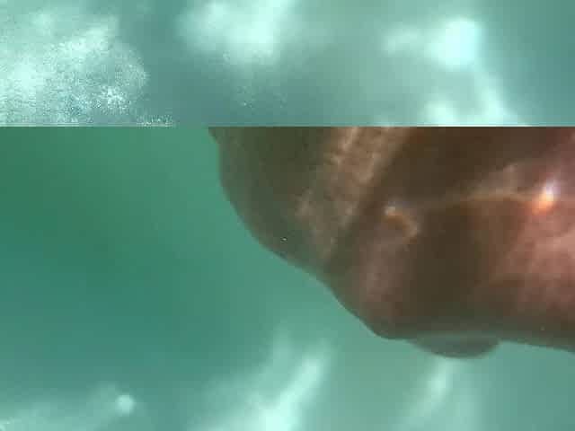 Underwater creampie and mutual masturbation with my ex girlfriend