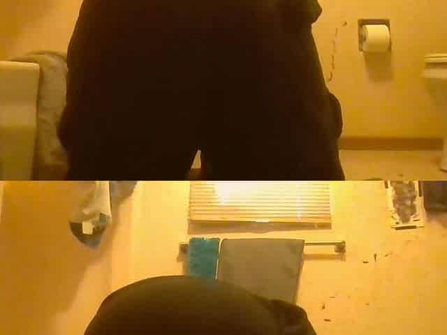 Shaking My Naked Ass Pink Toy
