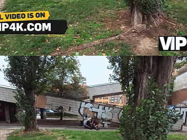 VIP4K. Sunflower Doll Screws a Stranger During the time that Her Boyfriend Is Napping
