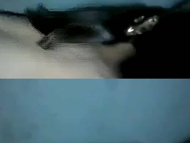 Amateur cuckold (not mine)