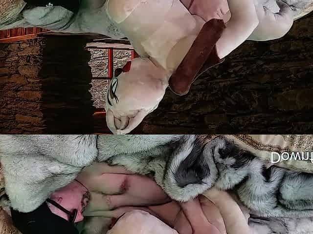 Cowgirl Screwed By A Monster On A Down And Yiff Couch. A Valentinagirls Doll
