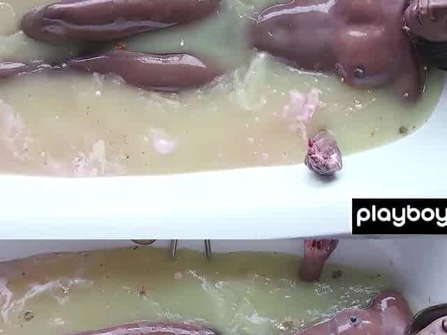 Petite boobs black chick toying her wet darksome twat