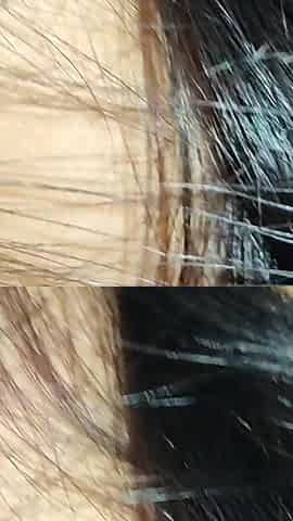Nepali New Video.salilay Lado Chusaudai Xu Guys.