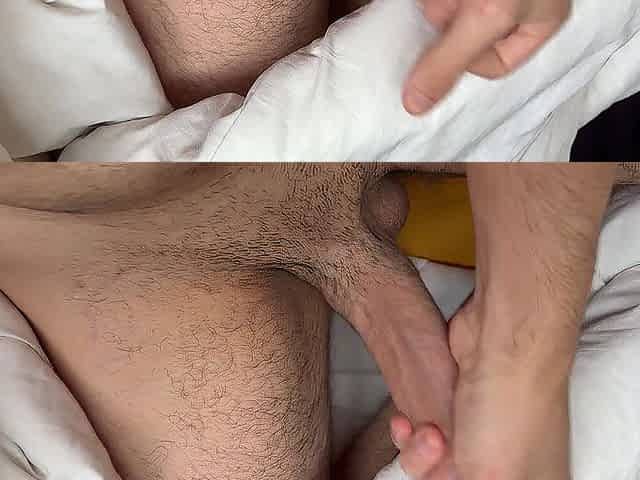 Fetish Meets Wild Unbridled Weenie Follow