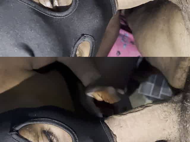 Ebony Giving Head