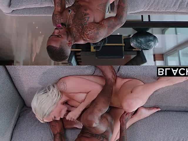 BLACKED ANYTHING ELSA COMPILATION
