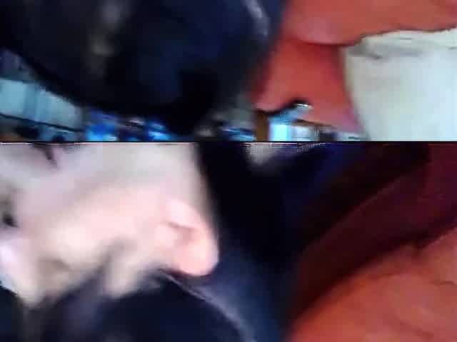 Deep-Throating Brunette Amateur's Blowjob Ends with a Facial