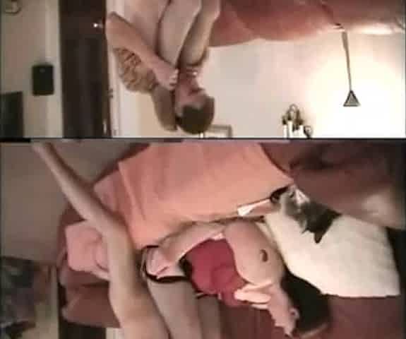 Anal bitch