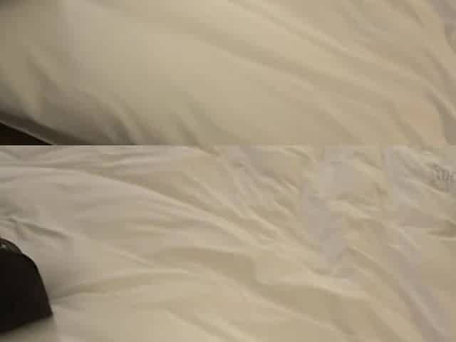 0011224_Japanese_Censored_MGS_19min