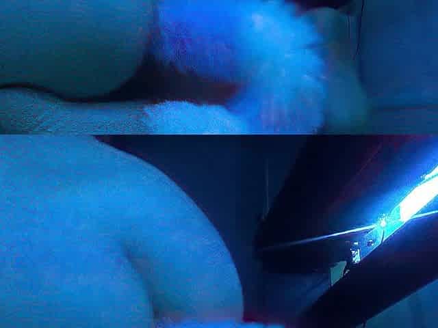 Lascivious Teen Screwing Dragon Wang