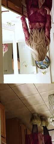 Stepmom Prepares for Bed While Stepson Watches and Masturbates Until He Is Caught and She Lets Him Put It in