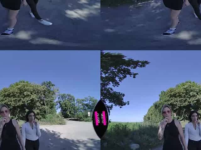 Blowjob In The Car With Hitchhikers