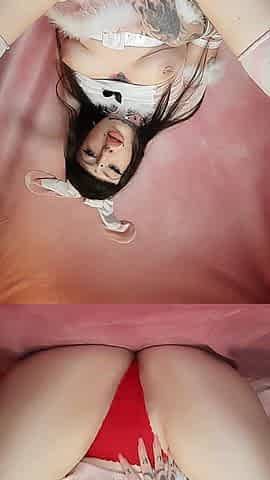 Cute Soft Pink Bunny Creams Allover Cock
