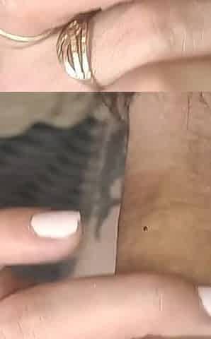 Cock Jerking and Anal Fucking