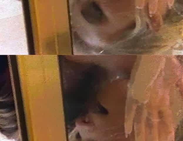 Blonde with Big Boobs Gives Blowjob to Her Dildo on Liv more