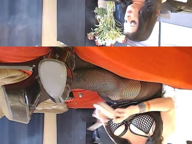 Shiny Costume Hose Virginia Slender 120s Smokin'