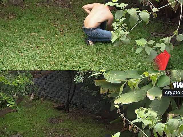 Athletic gardener is hired by brunette hair mother I'd like to fuck and does particular jobs for her