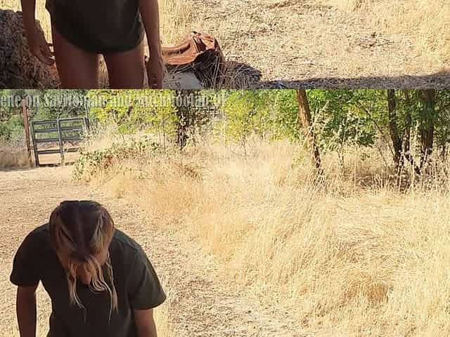 Fit Blonde Farm Girl Fucks Barn Manager Outdoors