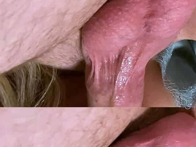 Blonde amateur butt hardcore nailed and ass to mouth