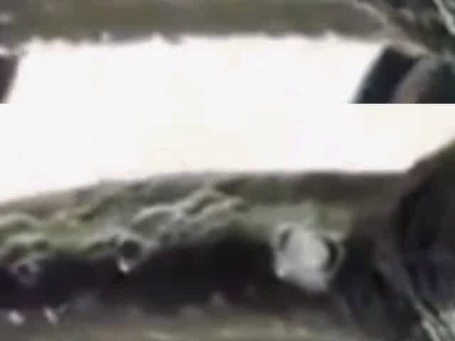 Best CIM Blowjob Ever
