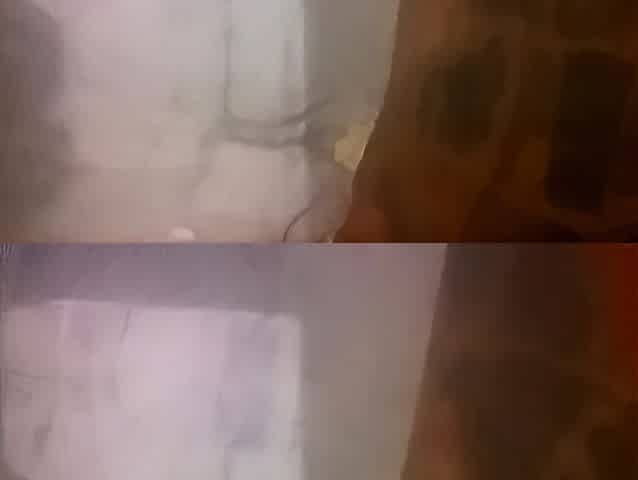 pornstar stick pic of his wang in her vagina
