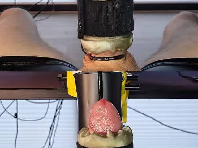 One Hour Endless Edging Milking Session by Automated Fleshlight