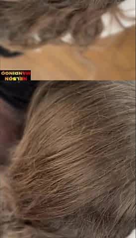 NelsonMandingo_Canadian-Throatpie K7eu - Creampie