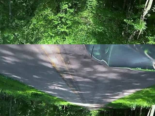 Gave Her a Creampie in Nature (nearly Caught)