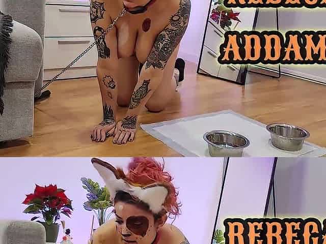 Body Transformation Humping Sofa P Uppy in Heat Preggo Teats