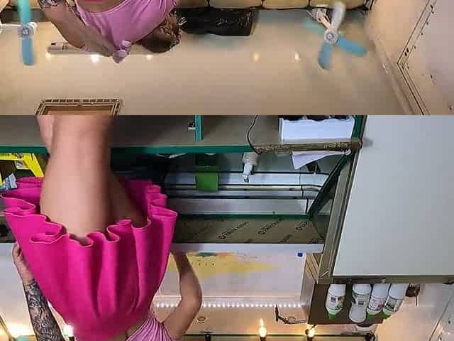 Super hawt angel with large natural tits and fascinating cunt upskirted at work - pov