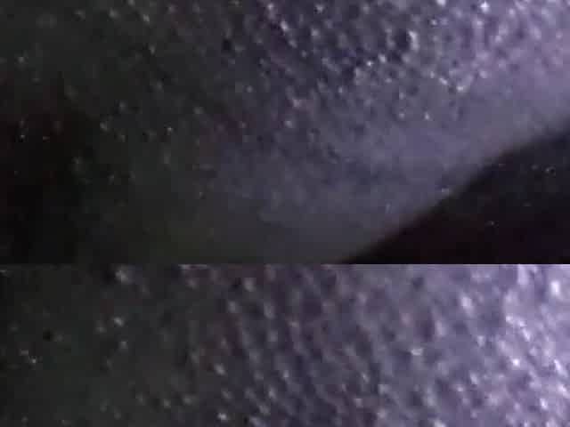 Biggest large ebony butt butt widen