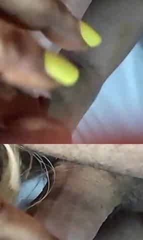 Double blowjob and sperm rain in the pussy